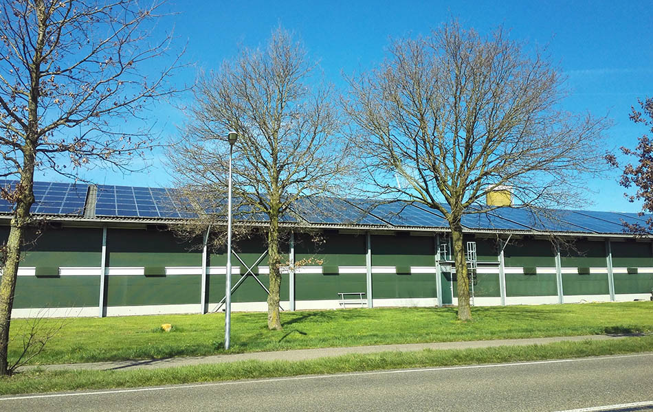 INVT Solar, solar inverter, solar energy company, solar power station, on-grid Inverter, off-grid Inverter, hybrid inverter, PV Energy Storage